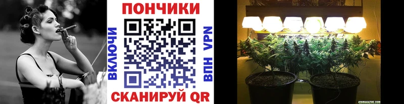 Наркота Кондопога Альфа ПВП ГАШИШ Амфетамин Канабис