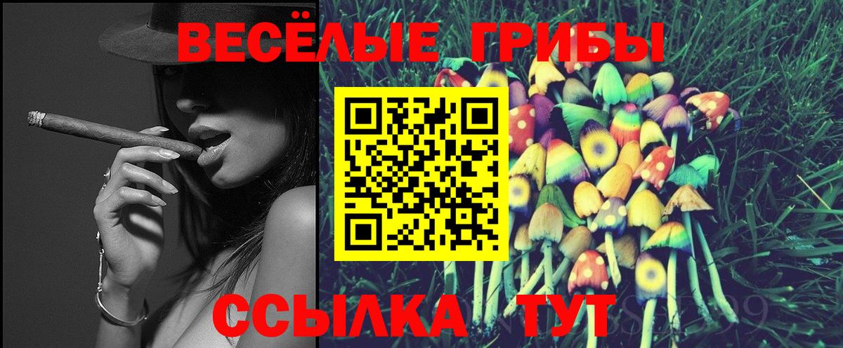 Галлюциногенные грибы GOLDEN TEACHER  Вход с VPN  где можно купить   Кондопога 
