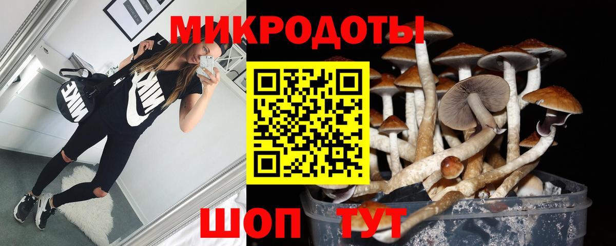 Галлюциногенные грибы GOLDEN TEACHER  купить наркотики цена  Псилоцибиновые грибы Cubensis  Кондопога 